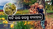 Organic Fertilizers: ଗ୍ରୀଷ୍ମ ଋତୁରେ ଏହି ୩ଟି ସାର କରନ୍ତୁ ବ୍ୟବହାର 