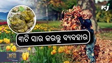 Organic Fertilizers: ଗ୍ରୀଷ୍ମ ଋତୁରେ ଏହି ୩ଟି ସାର କରନ୍ତୁ ବ୍ୟବହାର  Organic Fertilizers: ଗ୍ରୀଷ୍ମ ଋତୁରେ ଏହି ୩ଟି ସାର କରନ୍ତୁ ବ୍ୟବହାର