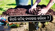 ମଲଚିଂ କାଗଜ ପ୍ରୟୋଗ କରିବାର ସଠିକ ଉପାୟ କ’ଣ ?  ମଲଚିଂ କାଗଜ ପ୍ରୟୋଗ କରିବାର ସଠିକ ଉପାୟ କ’ଣ ?
