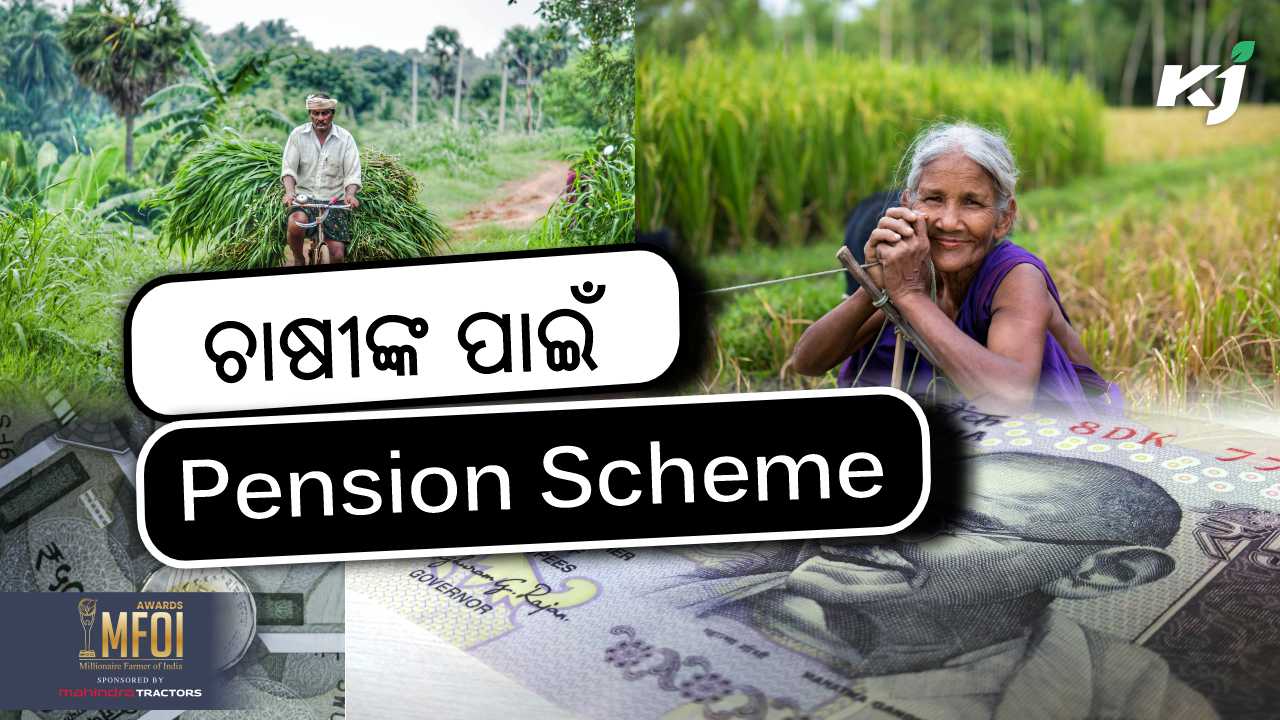 Pradhan mantri kisan maandhan yojana for pension scheme, image source - pexels