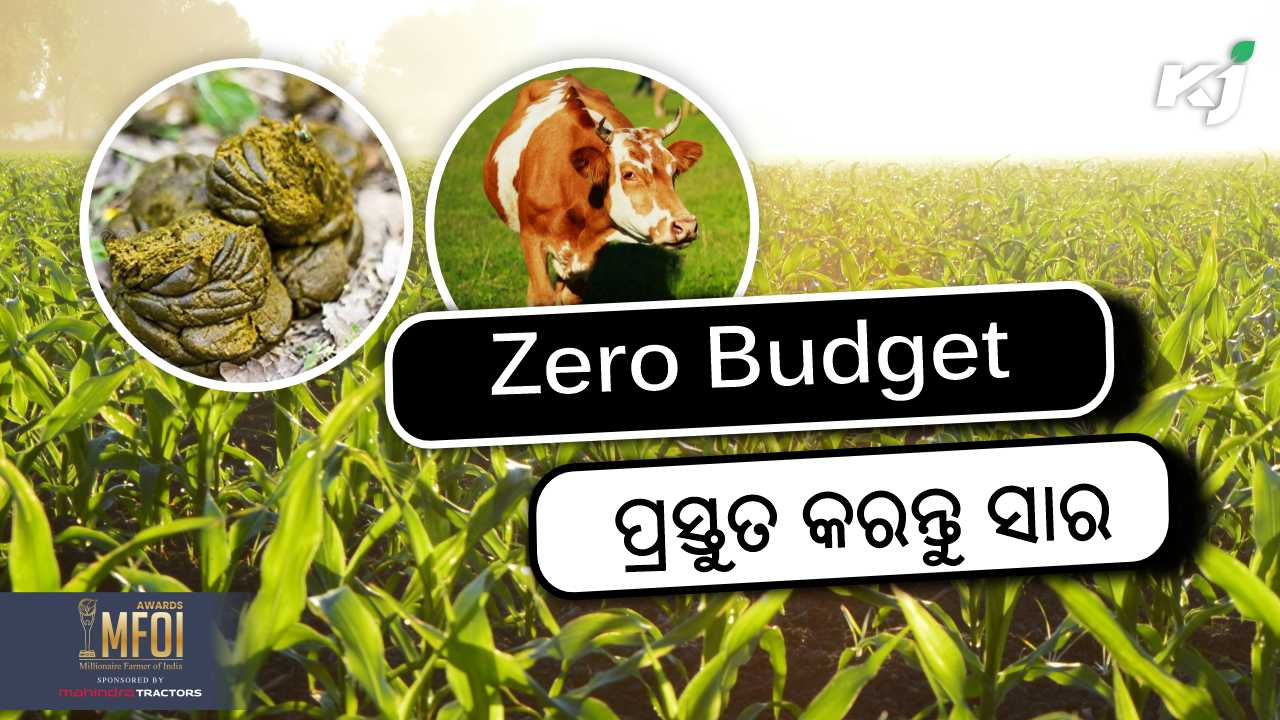 Organic farming on zero budget, image sorce - pexels