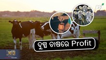 Dairy Farm: କିପରି ଆରମ୍ଭ କରିବେ ବ୍ୟବସାୟ ?  