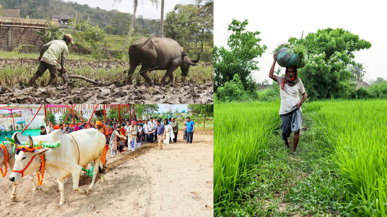 Construction of chariots for rath yatra to begin from today, image source - pexels