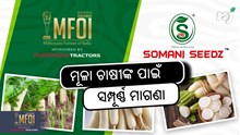 MFOI 2024: ମୂଳା ଚାଷୀଙ୍କ ପାଇଁ ସୁବର୍ଣ୍ଣ ସୁଯୋଗ MFOI 2024: ମୂଳା ଚାଷୀଙ୍କ ପାଇଁ ସୁବର୍ଣ୍ଣ ସୁଯୋଗ