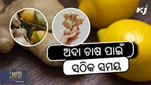 Ginger Farming: ମଞ୍ଜି ବୁଣିବାର ସଠିକ୍ ଉପାୟ Ginger Farming: ମଞ୍ଜି ବୁଣିବାର ସଠିକ୍ ଉପାୟ