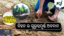 Farming: ଚାଷ ପାଇଁ ବିହନ ର ଗୁରୁତ୍ତ୍ଵ ! Farming: ଚାଷ ପାଇଁ ବିହନ ର ଗୁରୁତ୍ତ୍ଵ !
