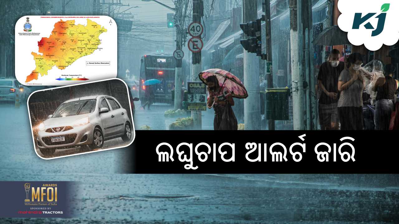 heavy rainfall update of odisha, image source -pexels