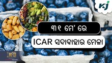 ୩୧ ମଇରେ ICAR ରେ ଅନୁଷ୍ଠିତ ହେବ ସଦାବହାର ମେଳା ୨୦୨୪ ୩୧ ମଇରେ ICAR ରେ ଅନୁଷ୍ଠିତ ହେବ ସଦାବହାର ମେଳା ୨୦୨୪