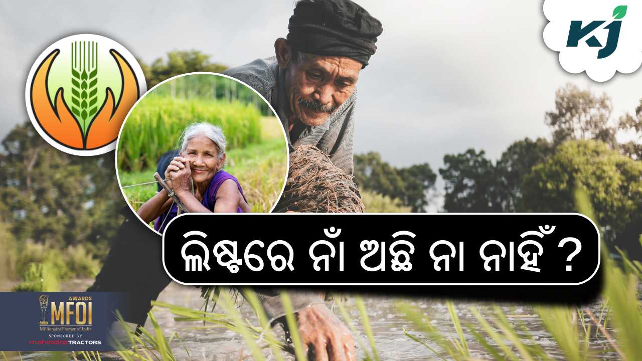 how to check the list of pm fasal bima yojana, image source - pexels