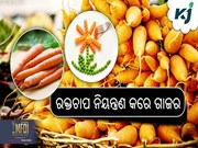 ଗାଜରରେ ଭରି ରହିଛି ଔଷଧୀୟ ଗୁଣ... 