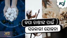Cotton Farming: କପା ଚାଷ ପାଇଁ ସରକାରୀ ଯୋଜନା Cotton Farming: କପା ଚାଷ ପାଇଁ ସରକାରୀ ଯୋଜନା
