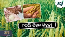 Identify paddy seed: କିପରି ଜାଣିବେ ବିହନ ଅସଲି ନା ନକଲି ? Identify paddy seed: କିପରି ଜାଣିବେ ବିହନ ଅସଲି ନା ନକଲି ?