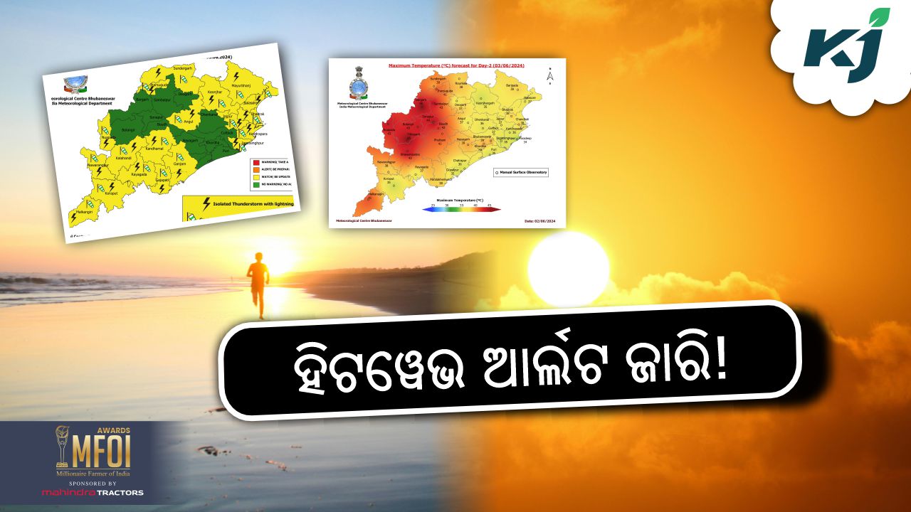 heat wave alert in odisha ,image source - pexels