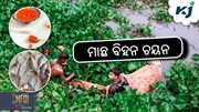 Fish Farming: ମାଛର ବମ୍ପର ଉତ୍ପାଦନ ପାଇଁ ଏଥିପ୍ରତି ଧ୍ୟାନ ରଖନ୍ତୁ
