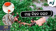 Fish Farming: ମାଛର ବମ୍ପର ଉତ୍ପାଦନ ପାଇଁ ଏଥିପ୍ରତି ଧ୍ୟାନ ରଖନ୍ତୁ
