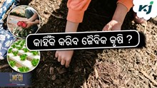 କାହିଁକି କରିବେ ଜୈବିକ କୃଷି ? କାହିଁକି କରିବେ ଜୈବିକ କୃଷି ?