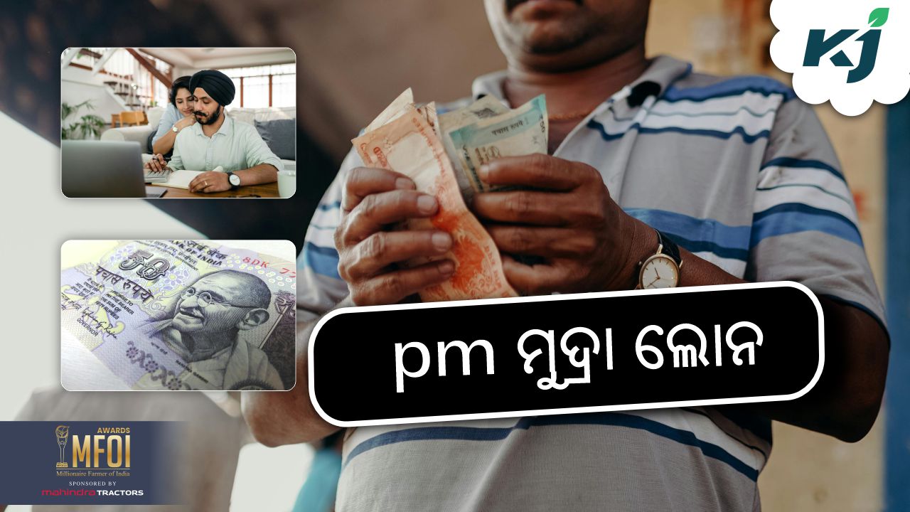 pm mudra loan yojana update, image source -pexels