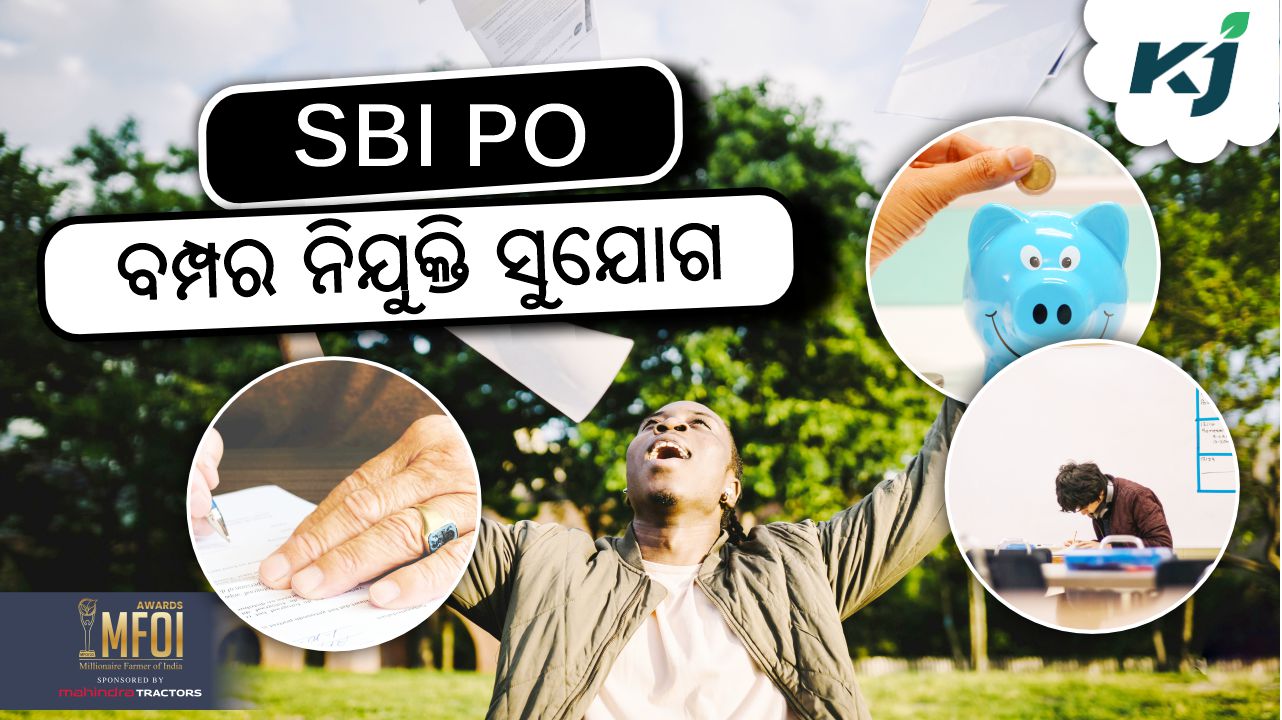 sbi po recruitment update, image source -pexels