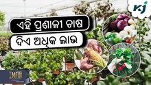 Organic Farming: କିପରି କରିବେ ପନିପରିବାରେ ଜୈବିକ କୃଷି ? Organic Farming: କିପରି କରିବେ ପନିପରିବାରେ ଜୈବିକ କୃଷି ?