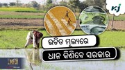 କ୍ୱିଣ୍ଟାଲ ପିଛା 3100 ଟଙ୍କା ମୂଲ୍ୟରେ ଧାନ କିଣିବେ ସରକାର