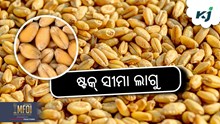 Wheat Stock Limit: ଗହମ ଉପରେ ଷ୍ଟକ୍ ସୀମା ଲାଗୁ Wheat Stock Limit: ଗହମ ଉପରେ ଷ୍ଟକ୍ ସୀମା ଲାଗୁ