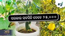 Chhat Bagwani Yojana: ମିଳିବ ୨୫୦୦୦ ସବସିଡି ଟଙ୍କା 