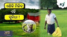CM Krishak Mitra Yojana: ଚାଷୀଙ୍କୁ ଏହାର ଲାଭ କିପରି ମିଳିବ ? CM Krishak Mitra Yojana: ଚାଷୀଙ୍କୁ ଏହାର ଲାଭ କିପରି ମିଳିବ ?