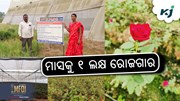 Profitable Farming: ପ୍ରଗତିଶୀଳ ଚାଷୀ ରାମସାୟ ମାର୍କମ୍