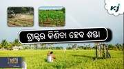 TRACTORS: ଏକ ଏମଏସଏମଇ ଏକ ଉତ୍ପାଦନ କାରଖାନା  TRACTORS: ଏକ ଏମଏସଏମଇ ଏକ ଉତ୍ପାଦନ କାରଖାନା