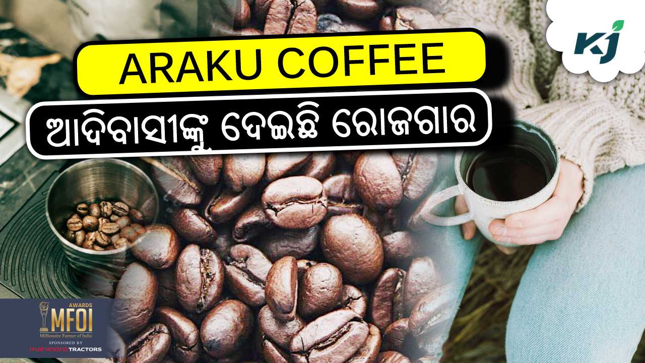 araku coffee from andhra Pradesh, image source - pexels