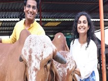 Dairy Farming: ବର୍ଷକୁ ରୋଜଗାର କରୁଛନ୍ତି ୧.୫ କୋଟି ଟଙ୍କା 