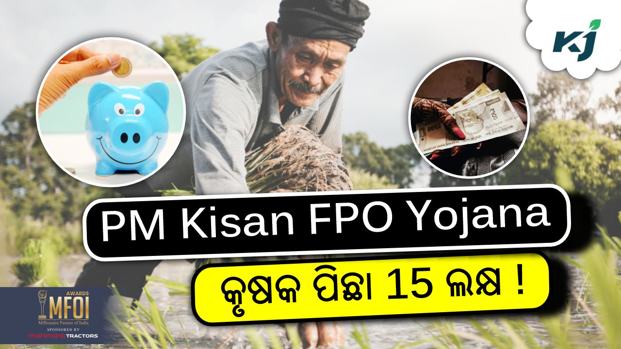 pm kisan fpo yojana for farmers, images source - pexels