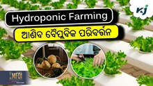 ହାଇଡ୍ରୋପୋନିକ କୃଷି: ଯାହା ଚାଷୀଙ୍କ ଭଭିଷ୍ୟତ କରିବ ଉଜ୍ଜ୍ୱଳ ହାଇଡ୍ରୋପୋନିକ କୃଷି: ଯାହା ଚାଷୀଙ୍କ ଭଭିଷ୍ୟତ କରିବ ଉଜ୍ଜ୍ୱଳ