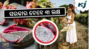 Business Idea: ୧ ଏକରରେ ଚାଷୀଙ୍କୁ ୧୦ ଲକ୍ଷ ଫାଇଦା !