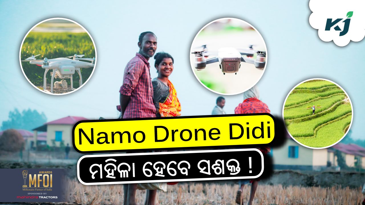 drone didi yojana for woman farmers, image source - pexels