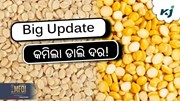 Urad prices: ହରଡ଼ ଡାଲି ମୂଲ୍ୟରେ ହ୍ରାସ