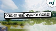 GOVT SCHEME: ପୋଖରୀ ଖନନ ପାଇଁ ସରକାରୀ ସବସିଡି !