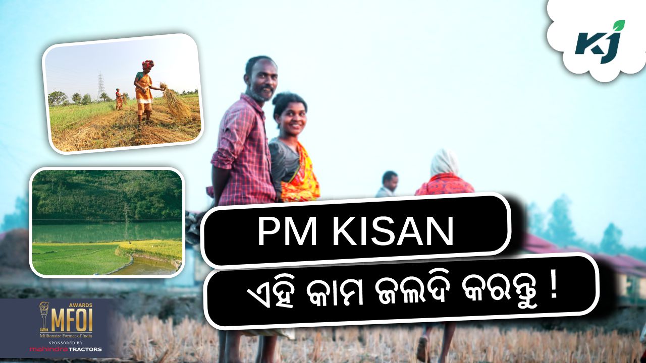 farmers will get the benefit of pm kisan, image source - pexels