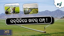 Farmer Scheme: ପାଣିପମ୍ପ୍ ସବ୍ସିଡି ଦେବେ ସରକାର ! Farmer Scheme: ପାଣିପମ୍ପ୍ ସବ୍ସିଡି ଦେବେ ସରକାର !