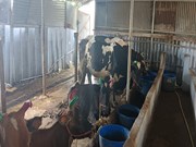 Subsidy Loan: ୨୦ ଲକ୍ଷ ଲୋନରେ ମିଳିବ ସବ୍‌ସିଡି !