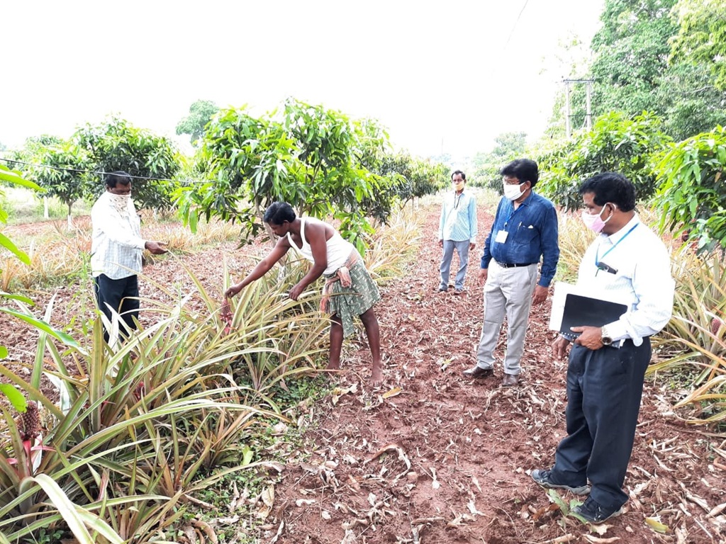 Crop insurance under pm fasal bima