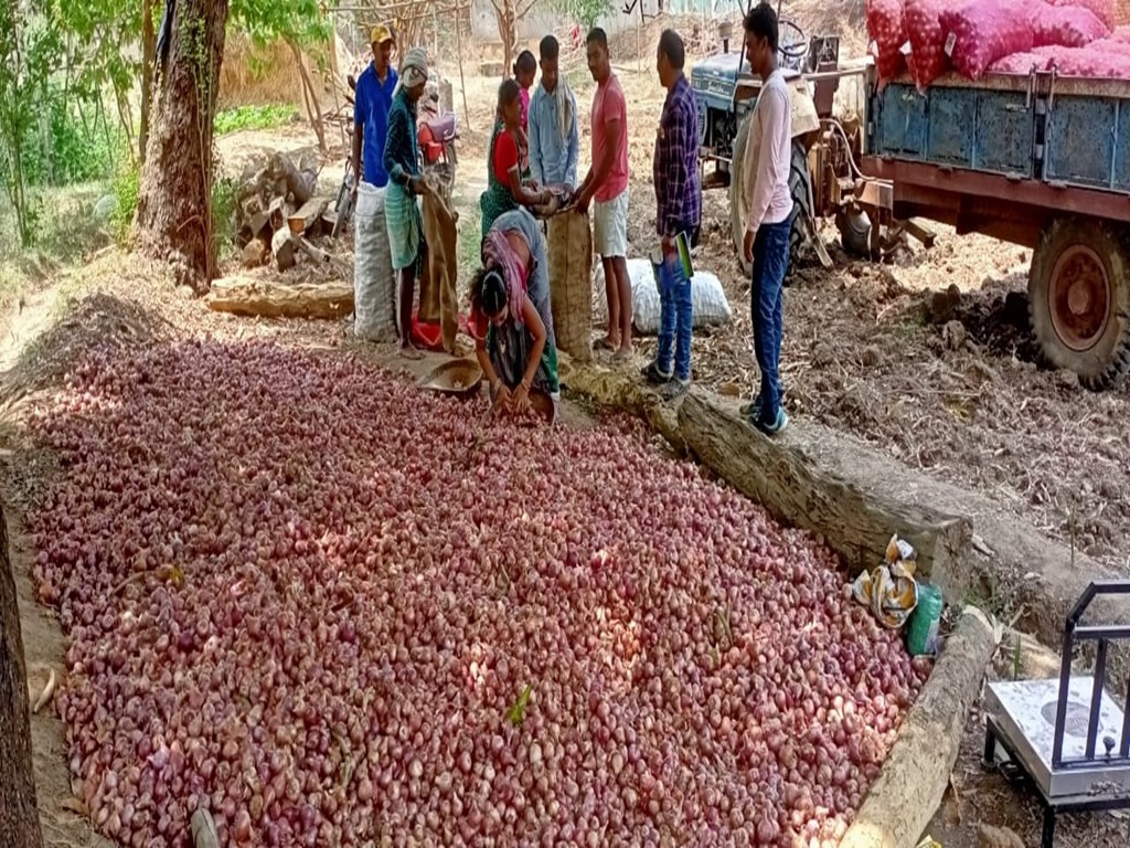 Onion price hike update