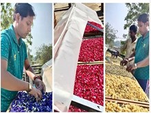 ସଫଳ ଚାଷୀ ଶିବରାଜ, ମାସକୁ କରୁଛନ୍ତି ଲକ୍ଷାଧିକ ରୋଜଗାର! 