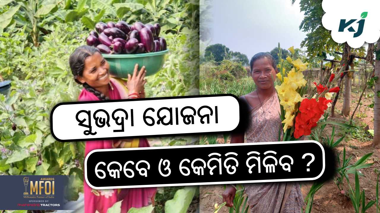 big announcement of odisha govt