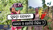 Subhadra Yojana: ମୋହନ ସରକାରଙ୍କ ବଡ଼ ଘୋଷଣା!