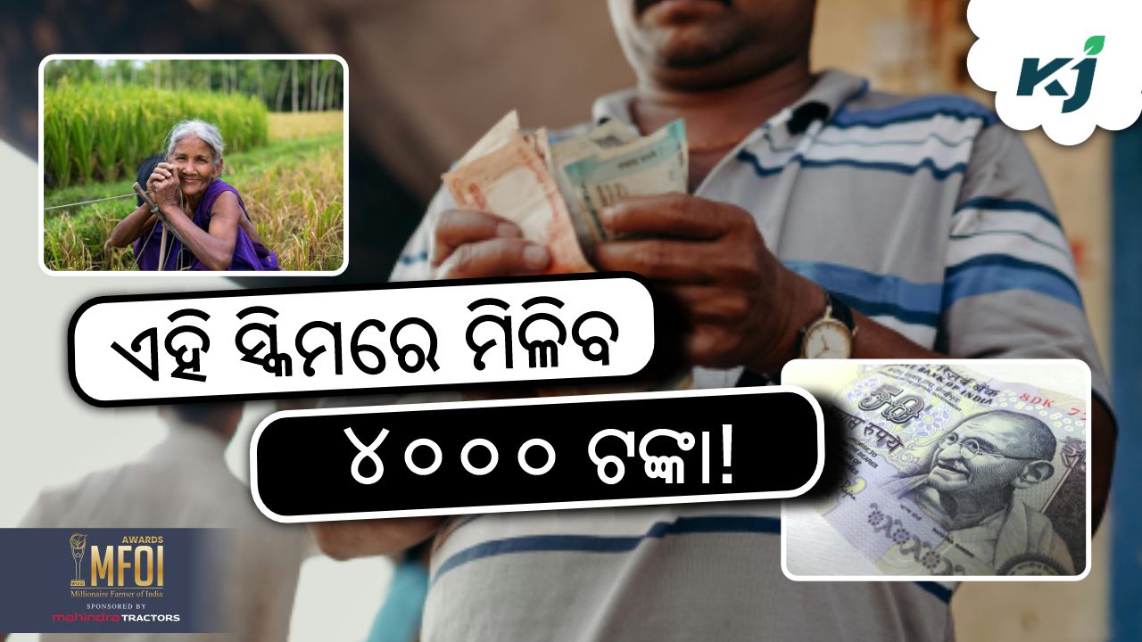 cm kisan scheme of odisha farmer, image source - pexels