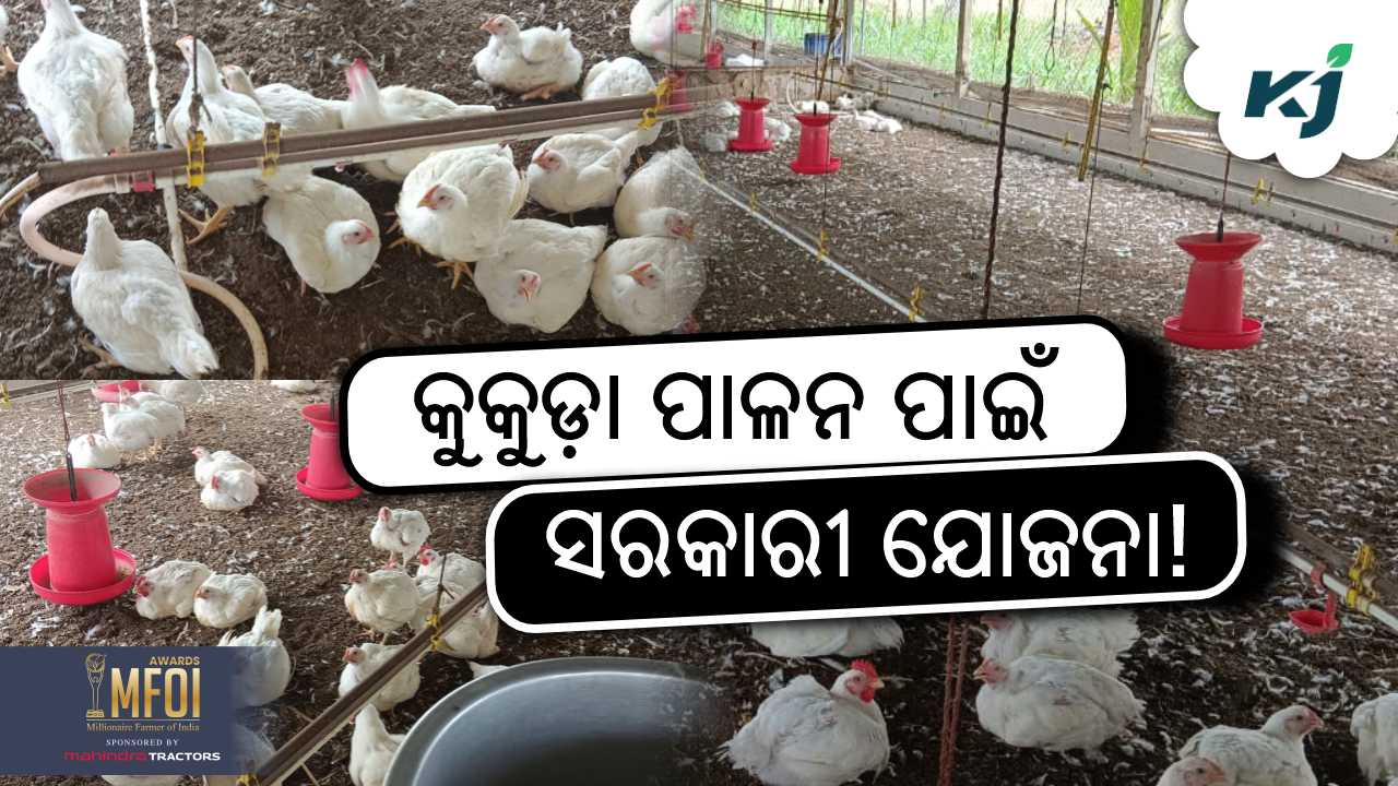 OMBADC scheme for poultry farming