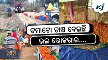 ଶିବ ପ୍ରସାଦଙ୍କୁ ଟମାଟୋ ଚାଷ କରିଛି ଆତ୍ମନିର୍ଭର