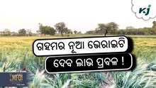 ୨ ନୂତନ କିସମର ଗହମ, ଯାହା ଚାଷୀଙ୍କୁ ଦେବ ପ୍ରବଳ ଲାଭ ! ୨ ନୂତନ କିସମର ଗହମ, ଯାହା ଚାଷୀଙ୍କୁ ଦେବ ପ୍ରବଳ ଲାଭ !