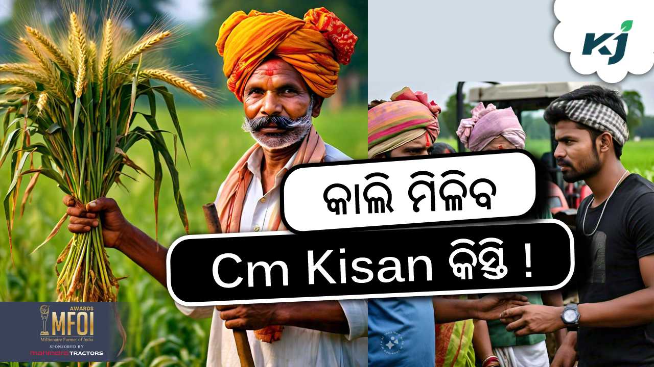 cm kisan to be received tomorrow, image source - Meta Ai